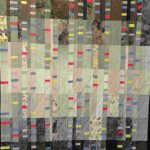 Toni Furst Smith Conscious Quilts Moving Forward